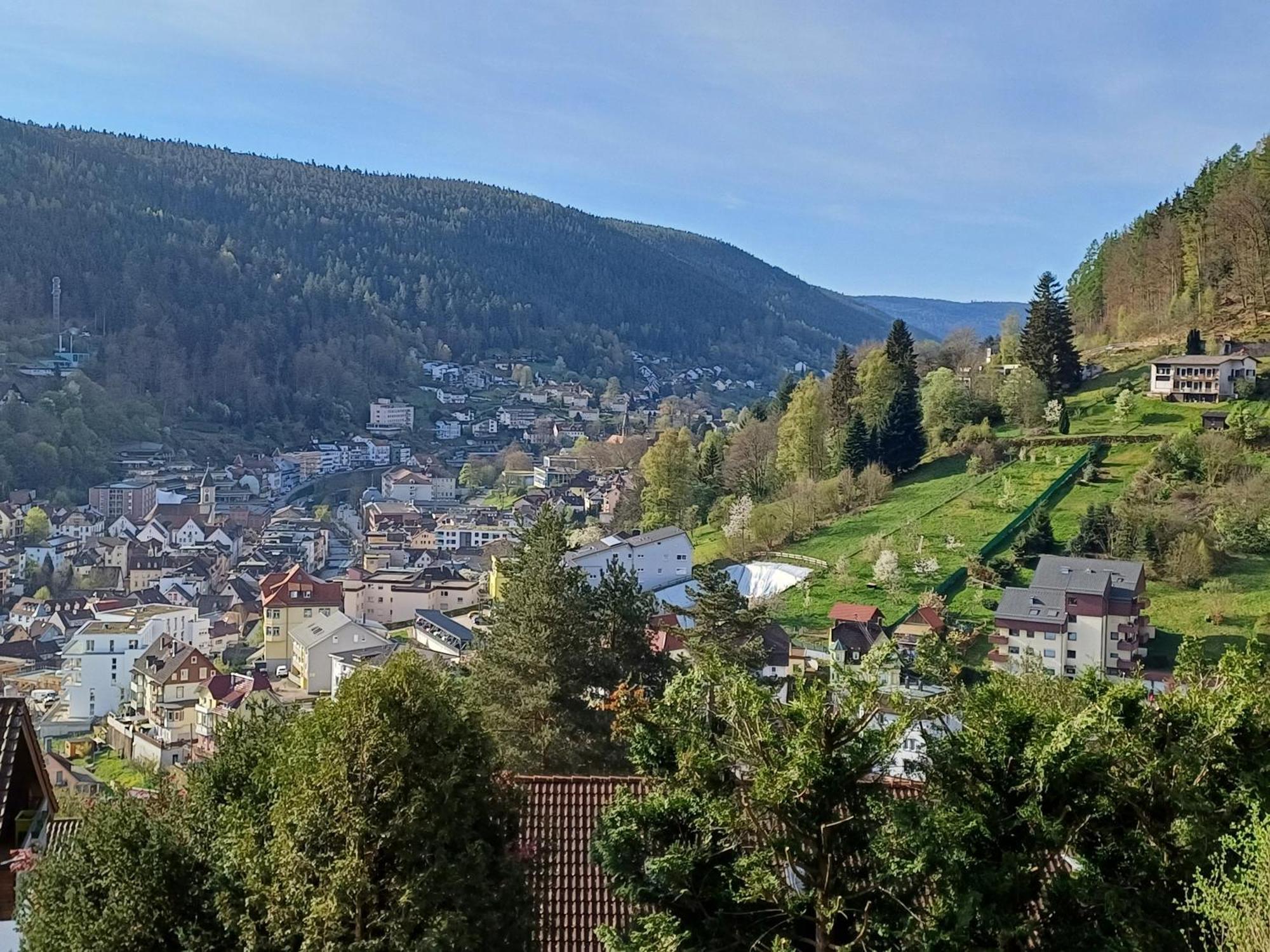 Ferienwohnung Panoramablick Bad Wildbad Exterior foto